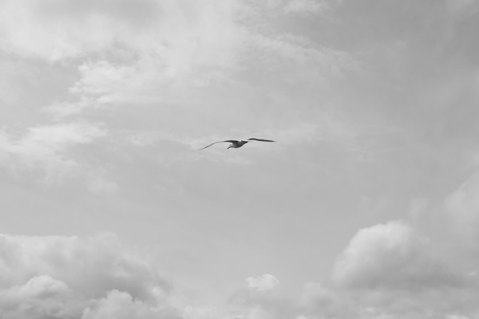 Altitude