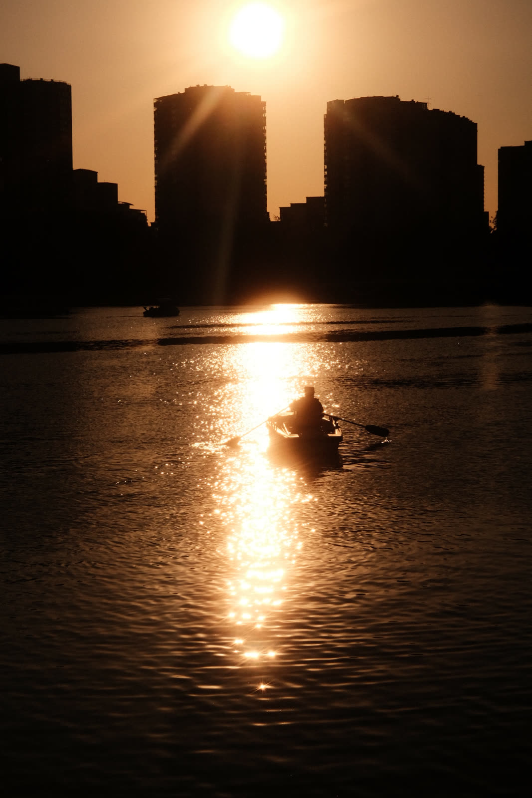 Reflets d'or