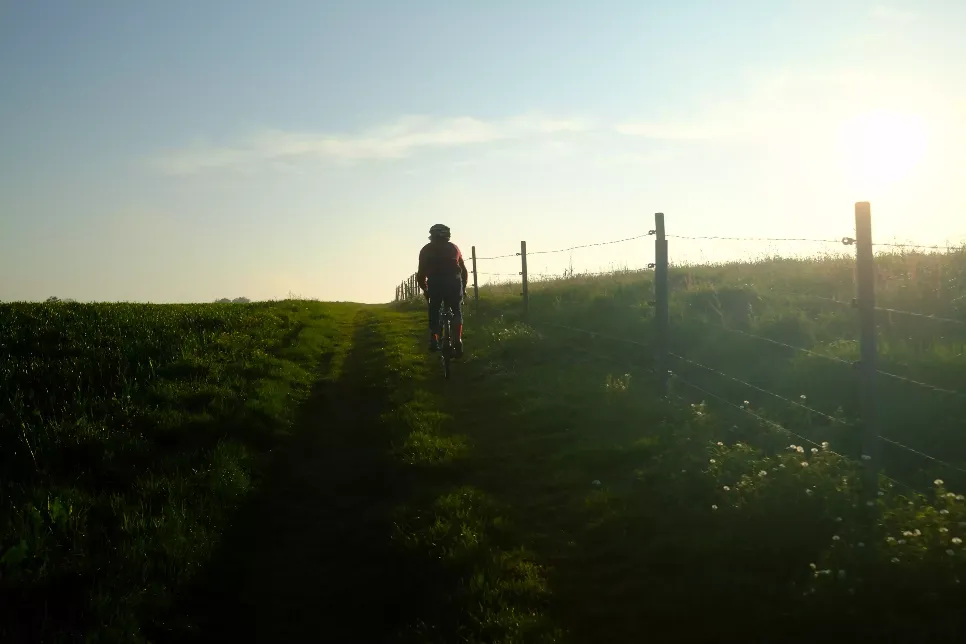 Promenade en nature